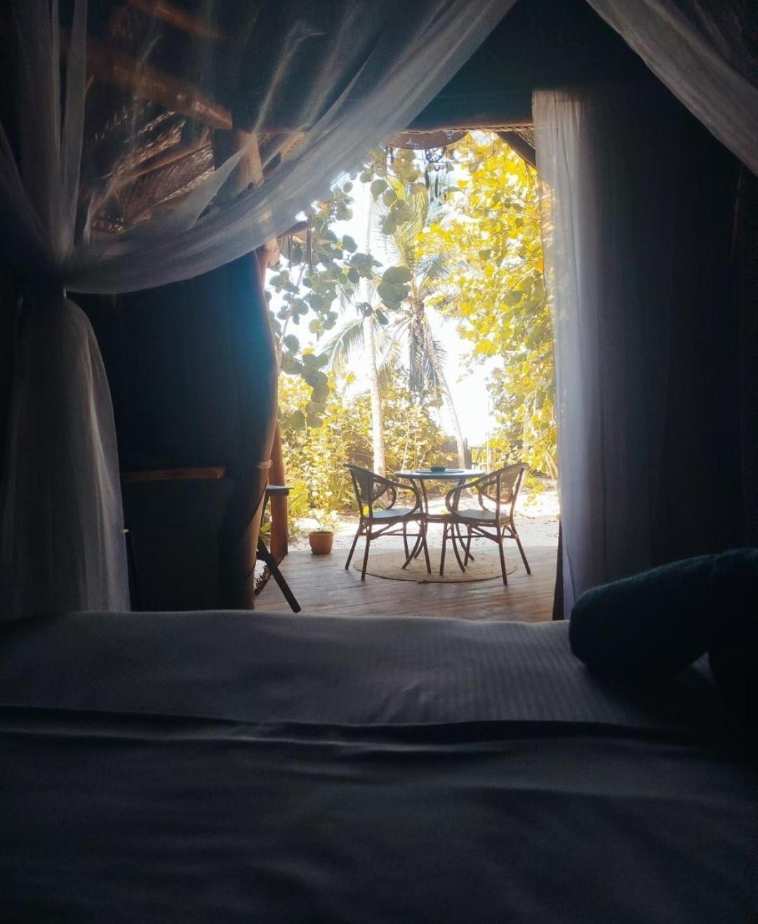 Nueva Onda Bed and Breakfast Palomino Εξωτερικό φωτογραφία