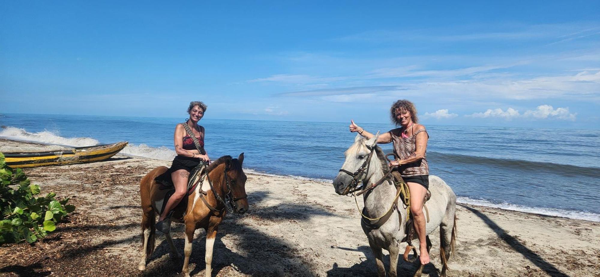 Nueva Onda Bed and Breakfast Palomino Εξωτερικό φωτογραφία