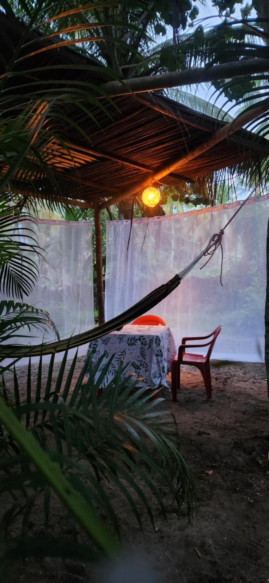 Nueva Onda Bed and Breakfast Palomino Εξωτερικό φωτογραφία