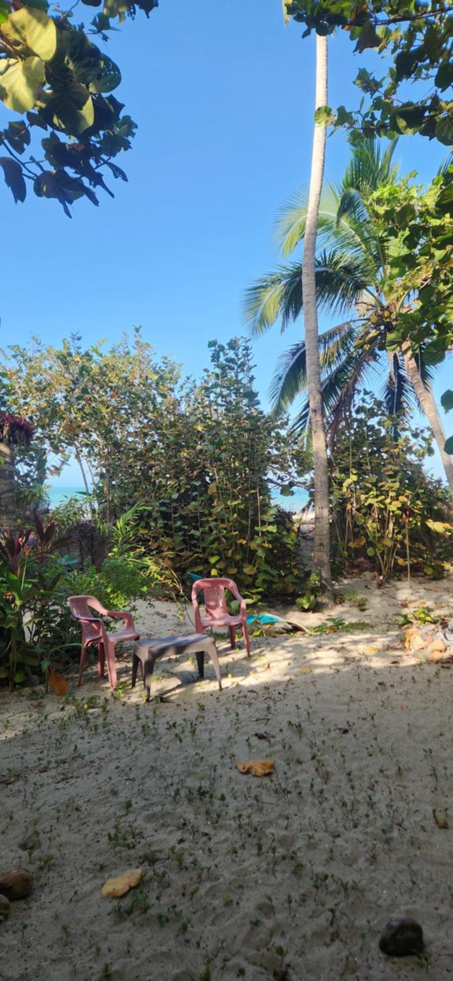 Nueva Onda Bed and Breakfast Palomino Εξωτερικό φωτογραφία